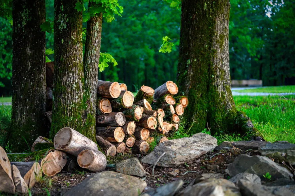 65934 362911 0DeP9l5nh7ESSHqakj6amttWkRa0 TcZm368rW5DpTU 6818e92692143.jpg