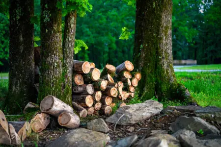 65934 362911 0DeP9l5nh7ESSHqakj6amttWkRa0 TcZm368rW5DpTU 6818e92692143.jpg