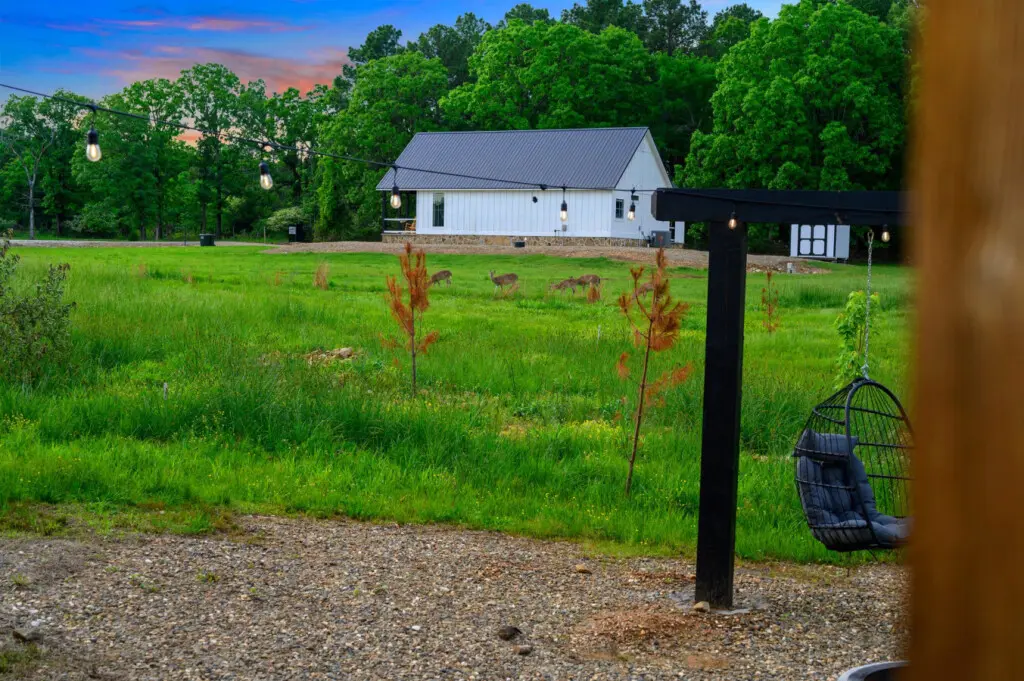 65934 362911 6N7Bh8s2Jny3WRgJtCq6UKvFEcMAvLnLAagnqDBmxYI 6818ec16ca971.jpg