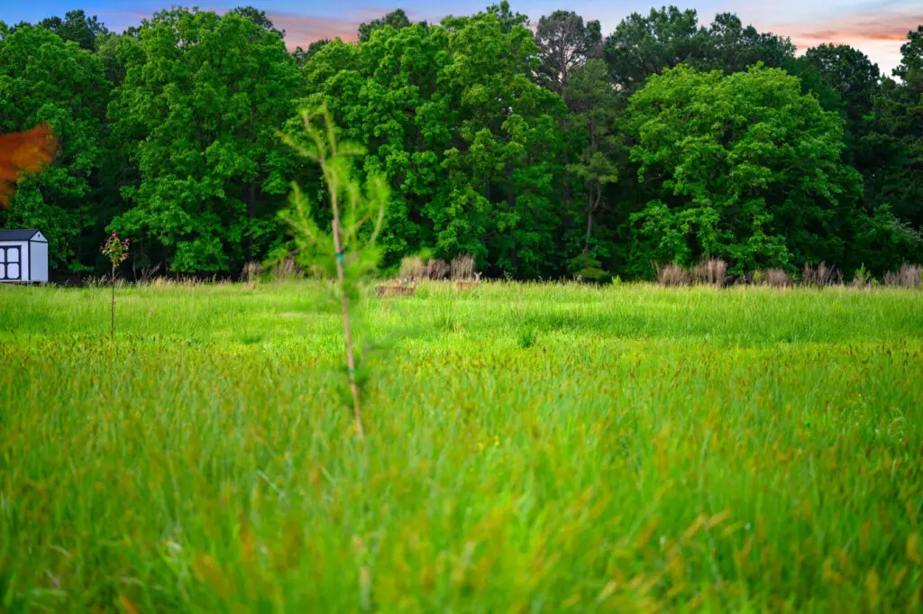 65934 362911 O LCzChF2PVKjjQhOD1W1rqGPzt1H3mapGNQCRQFfjU 6818ec7314be5.jpg