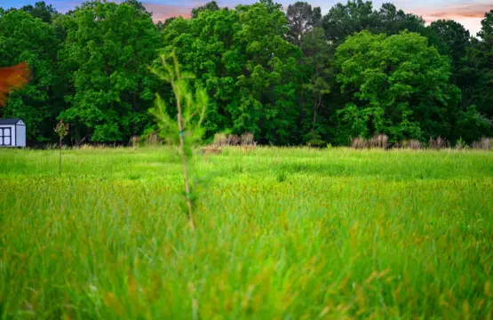 65934 362911 O LCzChF2PVKjjQhOD1W1rqGPzt1H3mapGNQCRQFfjU 6818ec7314be5.jpg