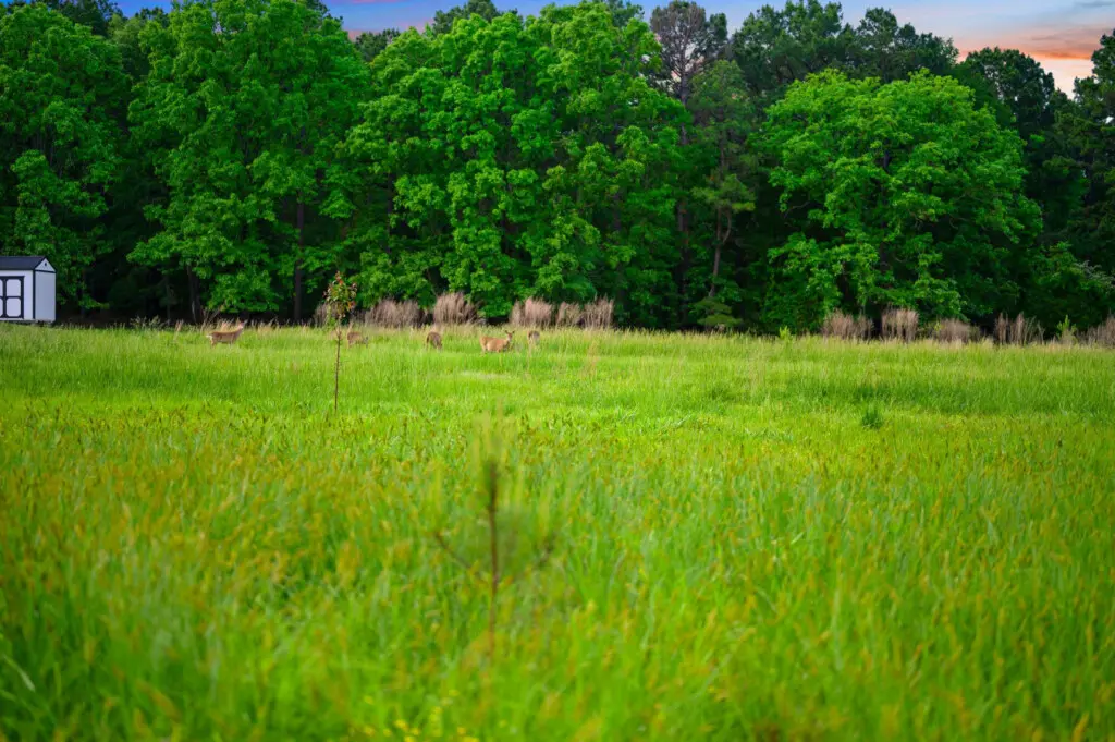 65934 362911 cbk64z7eGdqU33Hvbv4Nrcjf0mz1R7 iFHvaBCZPYPE 6818ec5293609.jpg