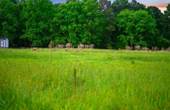 65934 362911 cbk64z7eGdqU33Hvbv4Nrcjf0mz1R7 iFHvaBCZPYPE 6818ec5293609.jpg