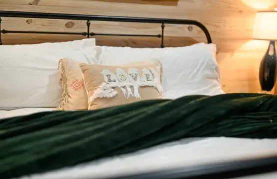 65934 362911 x7blU8siikOlyTHA1HAqZqTjXmrI1XhqT6XHRpFQlXU 6818e7fe22016.jpg