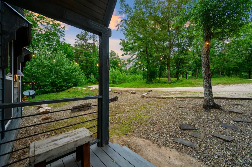 Recharge your soul with forest therapy!