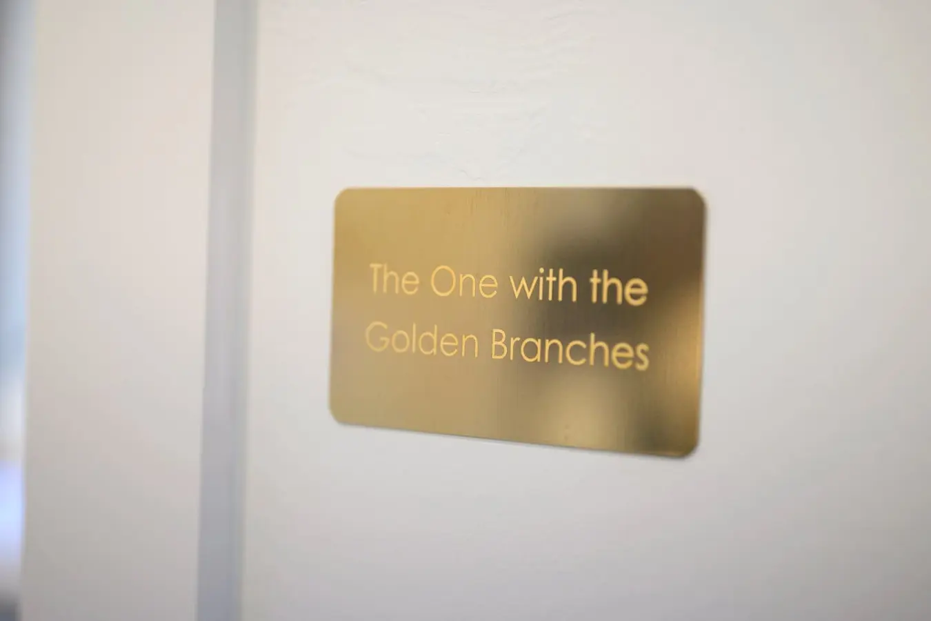 65934 368574 daen O7rBC1ASfIjCbkft0 k51TSSrRvWaDNbehTcTE 67ca318f90908.jpg