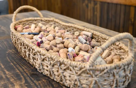 65934 384159 A4qxRlkZ6KL18Y7n5LEYkDaM5Q4c9rt4DGUsuTL9anQ 681e5d30047fe.jpg