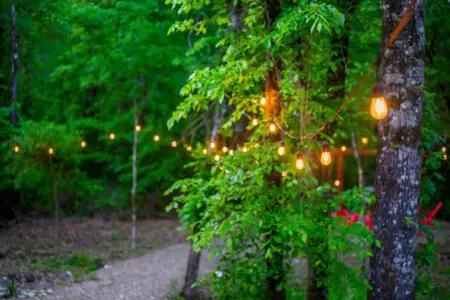 As the sun dips down, string lights twinkle through the canopy like little fireflies claiming the forest as their dance floor—this is where the magic of Lil Red really comes alive.