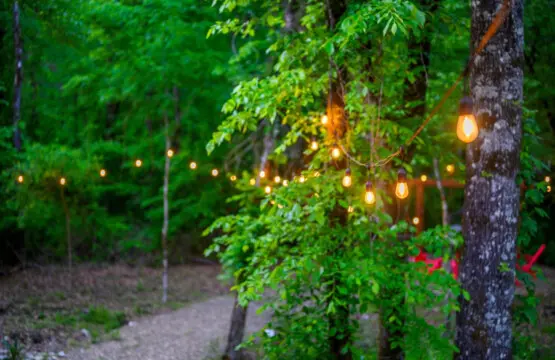 65934 387626 FGniQvUslKt8RGPQhGhSCE7GBg8HTFQprFC30hu3cHc 6816a065cb8f7.jpg