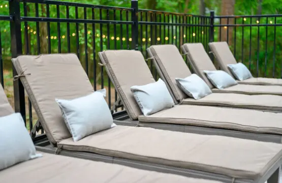 65934 390467 odC66xecJyxFBfr8 JjOWxPa24cb9aXIyi1 ivnSRxs 6822fb3c0d236.jpg