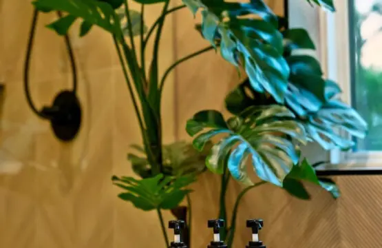 65934 390576 pBo2Sca 2eLELuZ W7qNYcdzMVTdMRrnpL9Ly85XkE 6822efa1c08dd.jpg