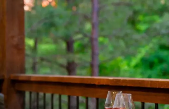 65934 390576 ESJZwM4X4NwcpSNUxC1GvTe 9cCy2rhbsEtKUshoMmA 6822ef93ecf0e.jpg