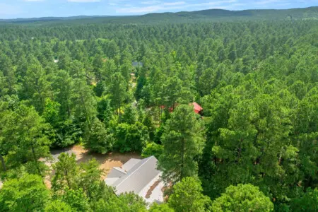 65934 394466 Ro9FFa55Jpqu9rQc rbVvs4kXSW2ECbmzePEIxANTnE 6855bf4c69b3f.jpg