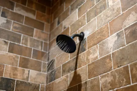 65934 403832 nESHAMNFjowKTTCWfIz6wkgpgrtPT4f4Vt5LyMVx4Ms 68522f64ada7c.jpg