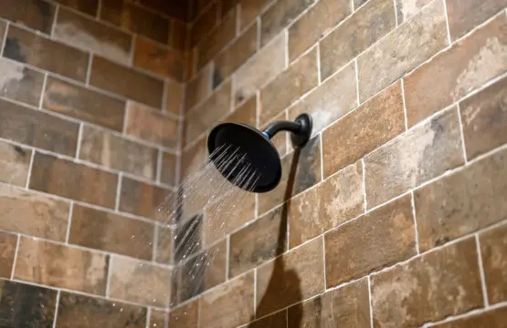 65934 403832 nESHAMNFjowKTTCWfIz6wkgpgrtPT4f4Vt5LyMVx4Ms 68522f64ada7c.jpg