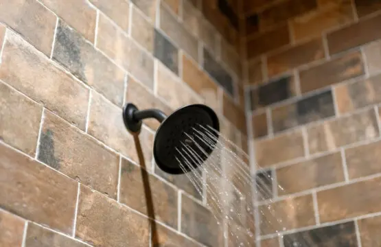 65934 403832 rif7KN FOLxOrTrepEYpp3RTf81Ja5SFA4DWpfc3gbs 6852b5a3bca1d.jpg