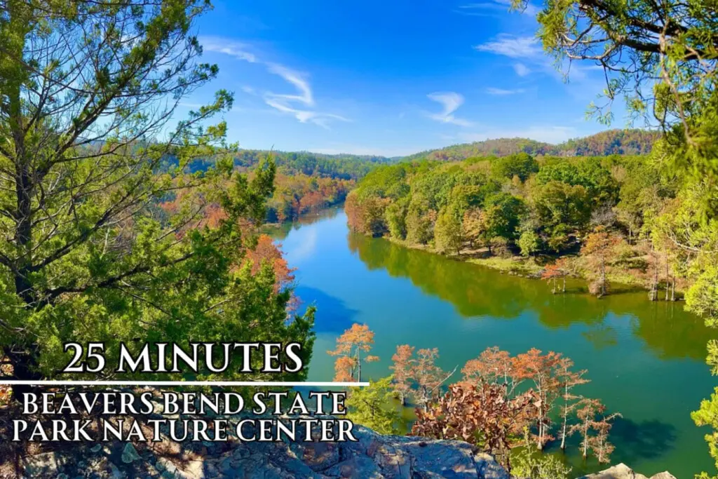 65934 404659 pSQAYmNPHavpKrY7TP9PasHKh7Z73Ccw3WBA X1cWNo 6854894fdc61c.jpg