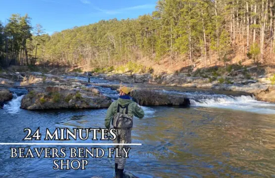 65934 404659 zQep0bYyWEwu7sVYwdvwzOMkrqSzKrGSQ6HUJOjmXO8 68548931bf03e.jpg