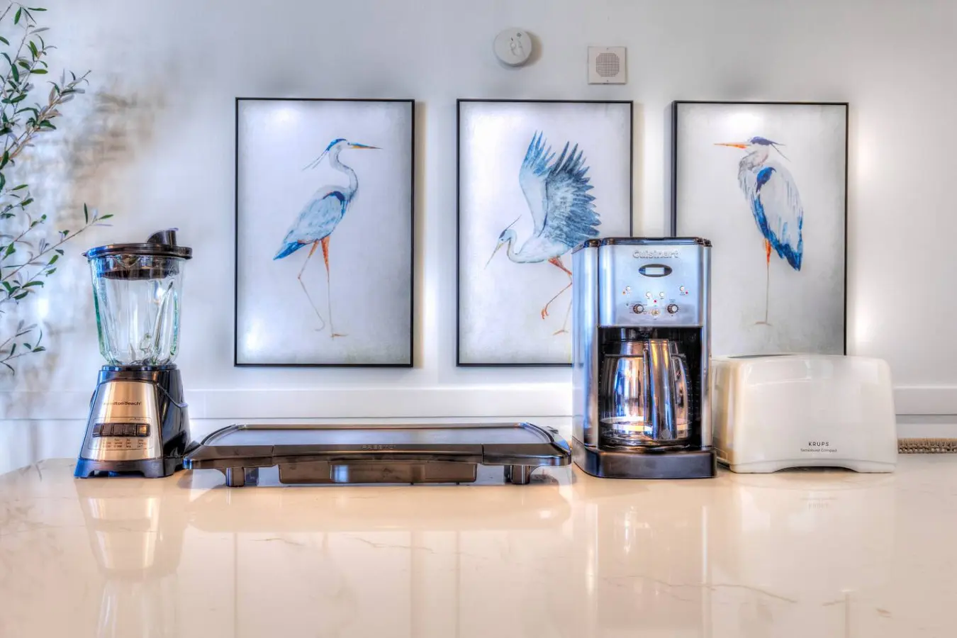 65934 411880 HEuBz46YFiVLtft hvLB bw4FQ k1A2GwNdqIqJXcU 68700852bc1d2.jpg