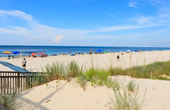 65934 411880 DM laEJJNiMtRJy0MhqFMo1kzKwf OpERIT8lWr3gS0 68790fc64201e.jpg