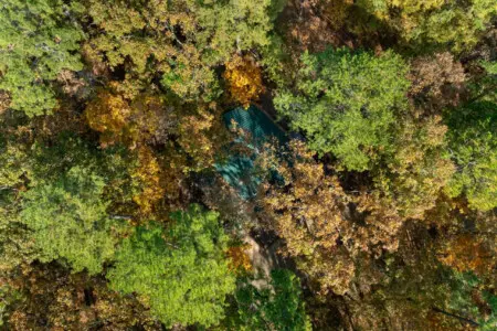 65934 452074 K5cmAKzoq ZzJmTl4WwDjoIptzwUn3tVKWqOn4Ldiy8 6913dd5cce38e.jpg