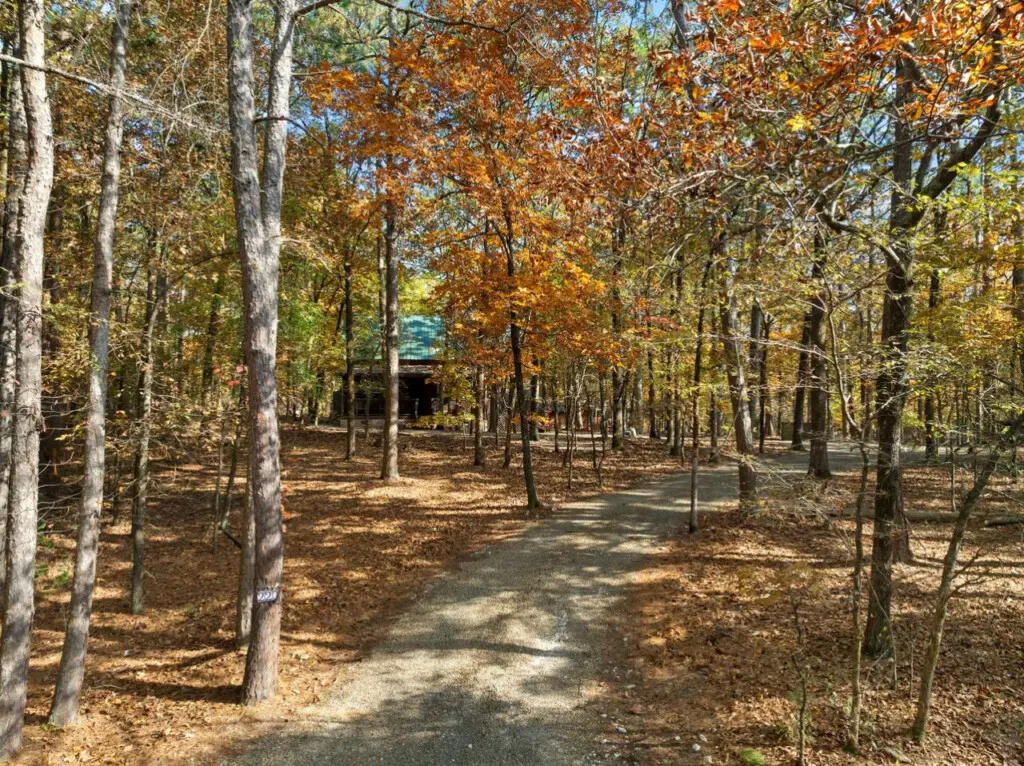 65934 452074 lmUZsJD7b u7 0qP5nfGRvharERR8qGwWe JyRmNKRM 6913dd5b87885.jpg