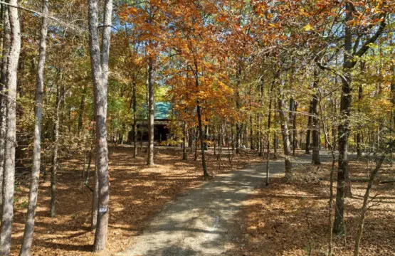 65934 452074 lmUZsJD7b u7 0qP5nfGRvharERR8qGwWe JyRmNKRM 6913dd5b87885.jpg