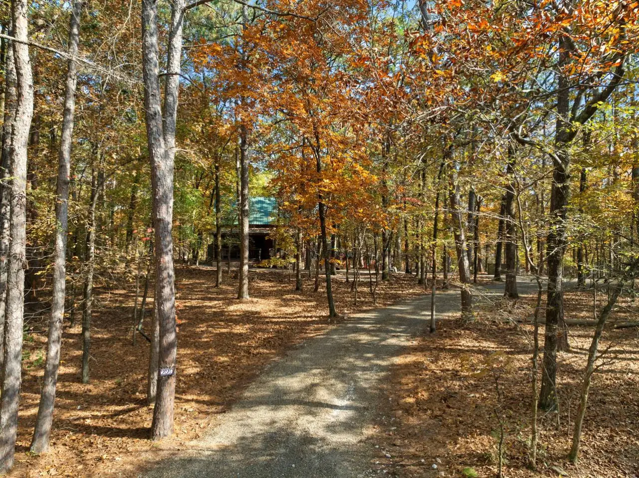 65934 452074 lmUZsJD7b u7 0qP5nfGRvharERR8qGwWe JyRmNKRM 6913dd5b87885.jpg