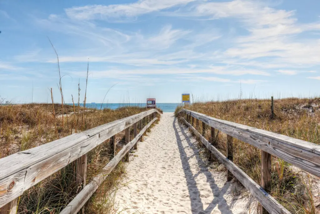 65934 461606 UBTfpPi1Kr qY5i2FdYgQAKn1xu7vcuFDl5RUC6wQzY 6931c1605462d.jpg