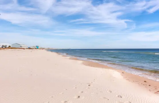 65934 461606 UDU1xgrk98gZXfxuwDmLroIbsaz9m8 keRq63ScsAmQ 6931b24ce29c3.jpg