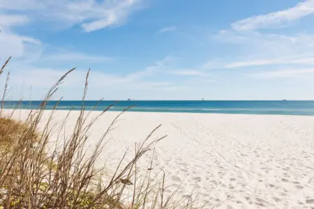 65934 461606 o8uEjGH zQbf 4yi92pvyPL9l459Pb9Hfa XhKuxqmI 6931b2500caad.jpg