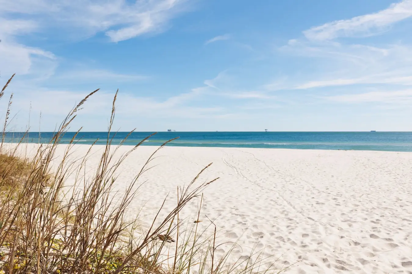 65934 461606 o8uEjGH zQbf 4yi92pvyPL9l459Pb9Hfa XhKuxqmI 6931b2500caad.jpg