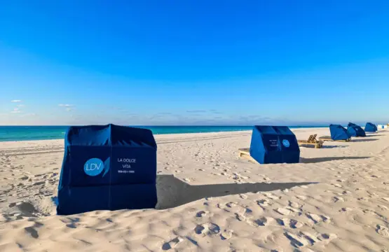 65934 467581 NdAZrI9AHo WAdRPEjDcI94z9kMS G9O8OFDA lFsps 6946aa77a69c0.jpg