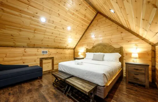 65934 484909 dEEijy4kQB 9IthoJ9vM uehwFxFTutvHnFlsgnefjc 6986c7720dbdd.jpg