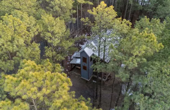 65934 484937 7CdqReZnxLKmlkSXM9oHLhuj2ho8nHVumEXLlVnJ5 I 69870676753b6.jpg