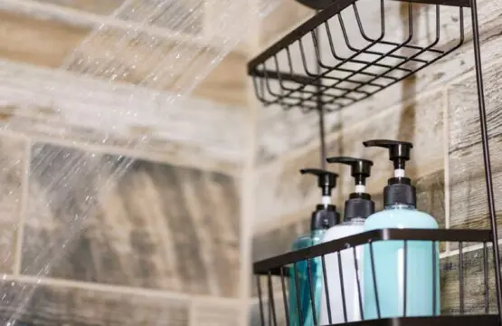 65934 484937 WlEJa9AeOD7O42 L1f8p327zgDXsq69f2Tbe QERY8M 6986ec55ca692.jpg