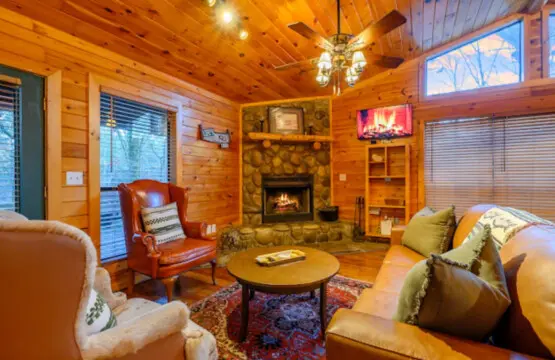 65934 489582 0Me0XQV0tzmayNmD0T4i PL2QFYu0knC0DkBxA13Xks 6997b2a87523f.jpg