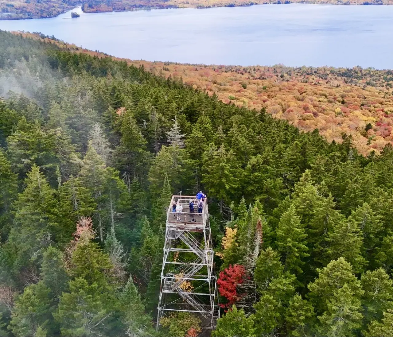 From up here, it all feels a little more magical.