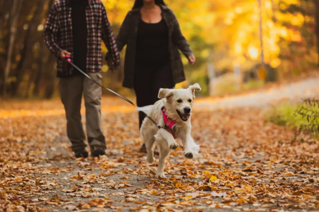 65934 176984 SPhoNC9zlHdjnoDAFRFlDd phydtA8KSC0OiIUd0M38 68ee7fadc9a9c.jpg