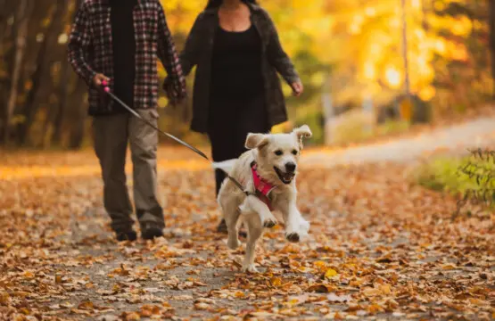 65934 176984 SPhoNC9zlHdjnoDAFRFlDd phydtA8KSC0OiIUd0M38 68ee7fadc9a9c.jpg