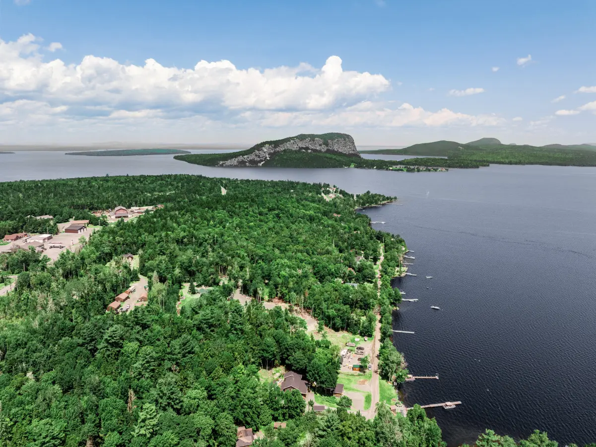 Where every branch and blade of grass sings new life.