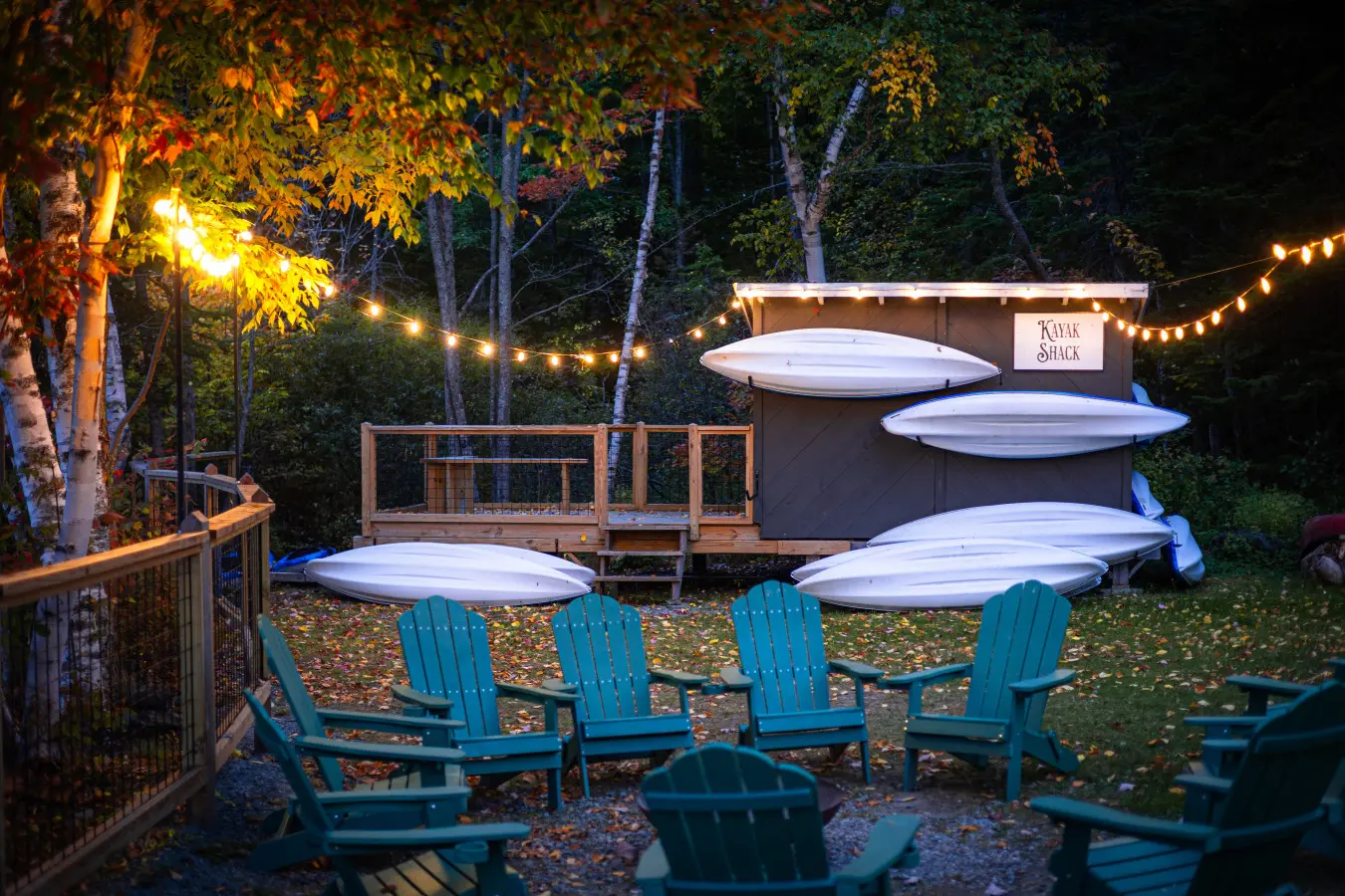 Chillin’ under the pines, one peaceful moment at a time.