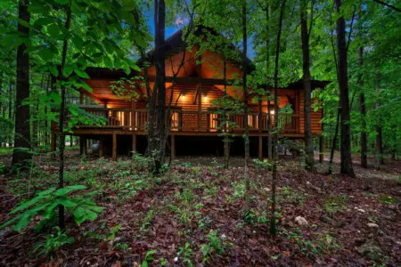 65934 270367 Ilvl0JxVm0y9buQStKcHeLCPpFIWc5 6SIbaa 0X42c 663d957393f3a.jpg