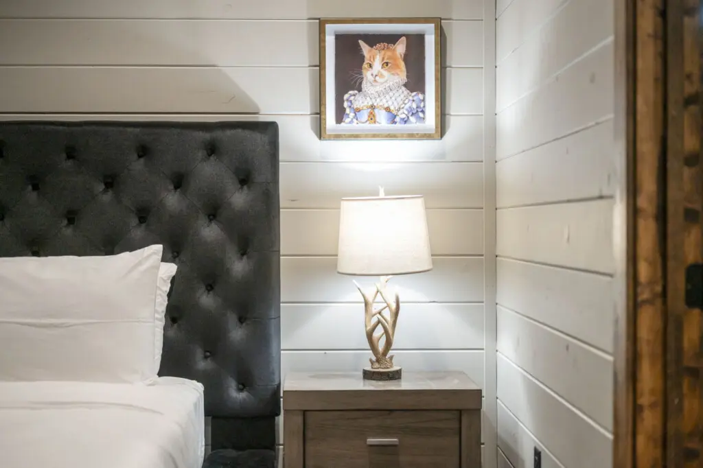 65934 449145 z0eVPOfJFRZsEGHgdBr42k3jc23vhxisE335yrsxLXc 69150636b77f4.jpg