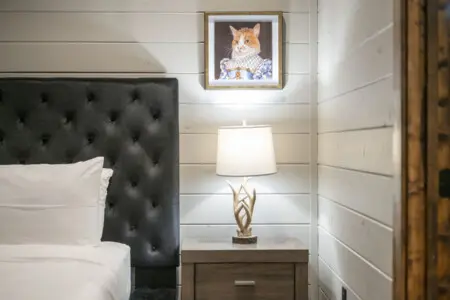 65934 449145 z0eVPOfJFRZsEGHgdBr42k3jc23vhxisE335yrsxLXc 69150636b77f4.jpg