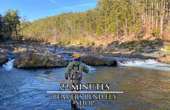 65934 457761 BUB1Wg7RDWLmqsj1W6nGGl9IeC DuSuGADJcnJTPM1Q 69b2d3d1bc23e.jpg