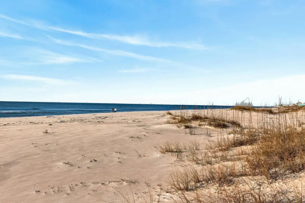 65934 487472 jYQMcivGfzMaHsp3rdjWWVSu0gsluumFpphHuZ0qdns 698f58baa25ab.jpg