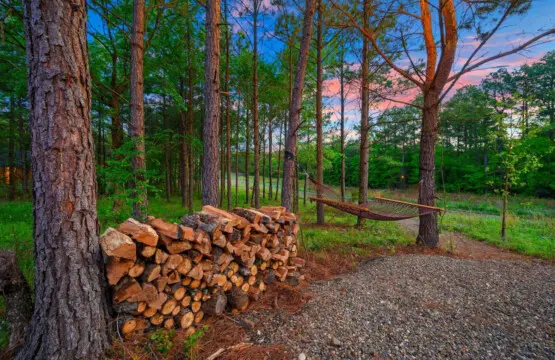This peaceful pine forest setup has all the makings of a perfect retreat—a cozy hammock, stacked firewood ready to go, and that dreamy sunset sky peeking through the trees.