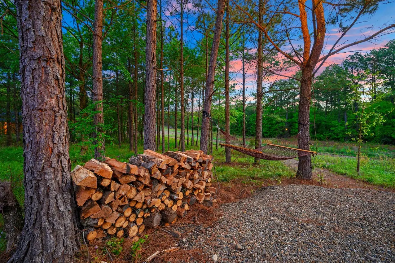 This peaceful pine forest setup has all the makings of a perfect retreat—a cozy hammock, stacked firewood ready to go, and that dreamy sunset sky peeking through the trees.