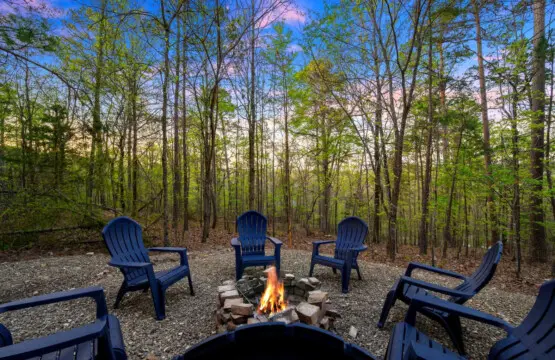 Find your peace at Treetop